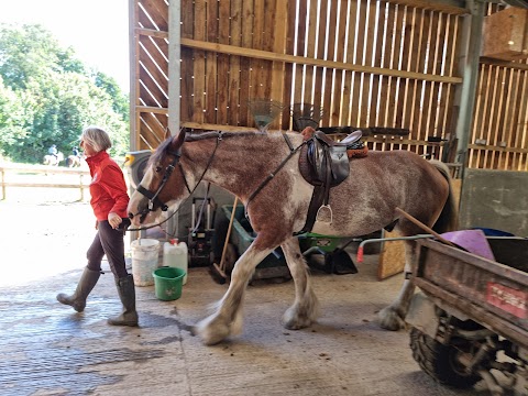 Adventure Clydesdale