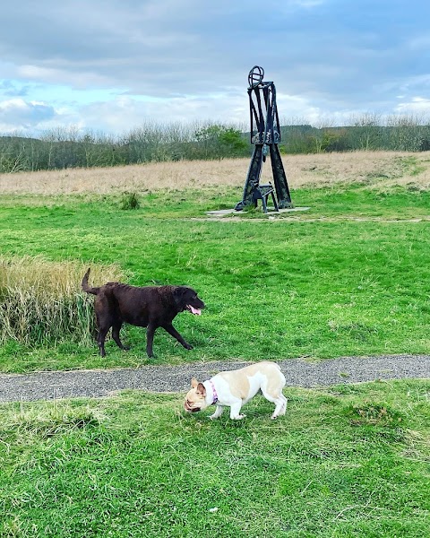 Hucknall Dog Walkers