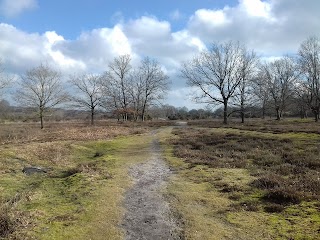 Buxton Heath