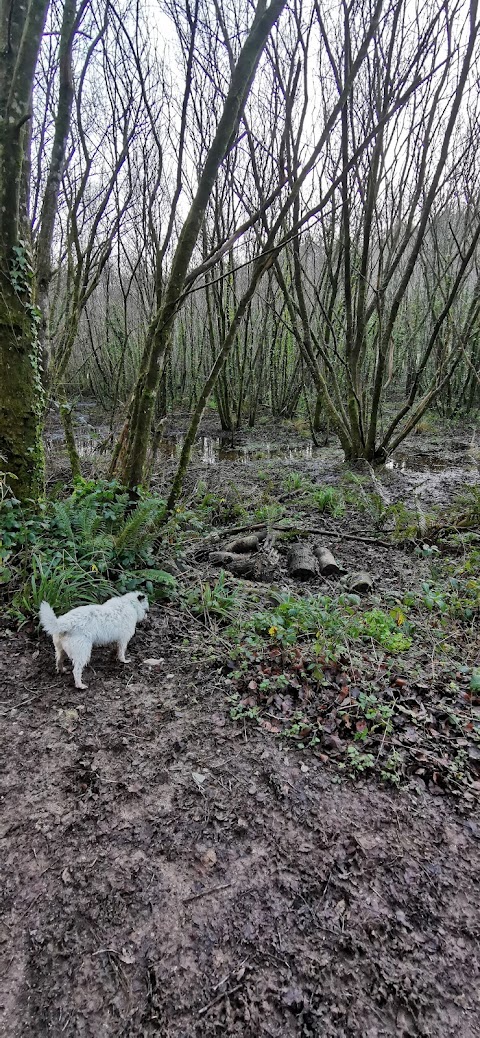 Seaton Valley Countryside Park