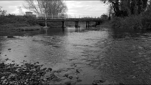 Ringland River Green