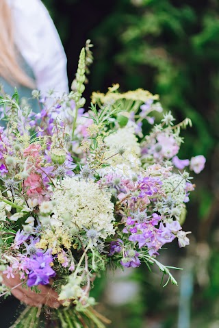 Gentle Blooms