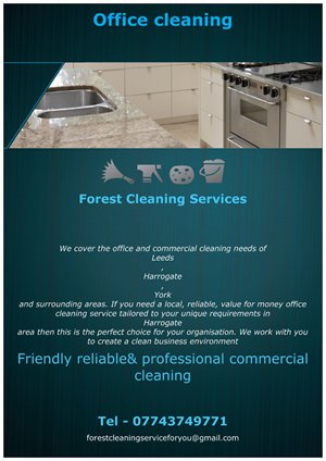 Forest Cleaning Services