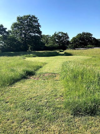 Wixoldbury Farm Glamping