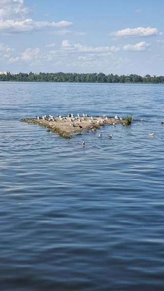 Чаичий остров