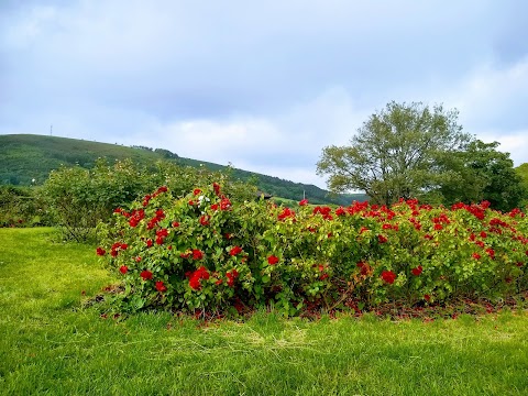 Talbot Memorial Park