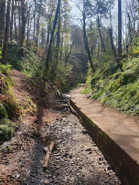 National Trust Lisnabreeny Cregagh Glen