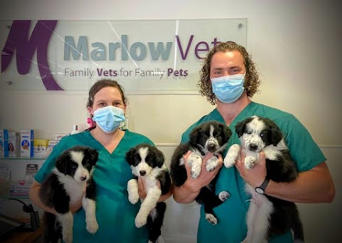 Marlow Vets