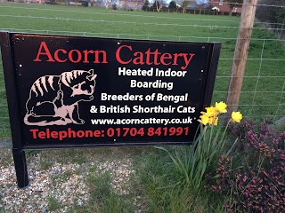 Acorn Cattery