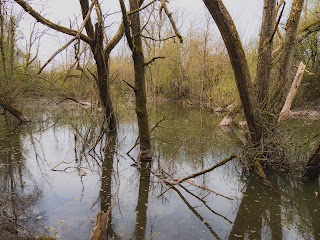 Cotwall End Local Nature Reserve