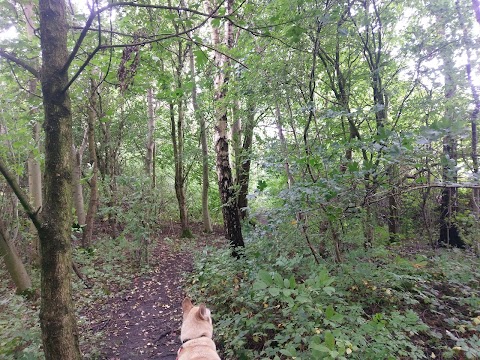 Highfield Country Park