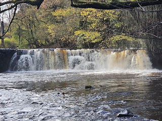 Linn Park Waterfall