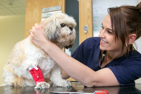 Langford Vets Small Animal Referral Hospital