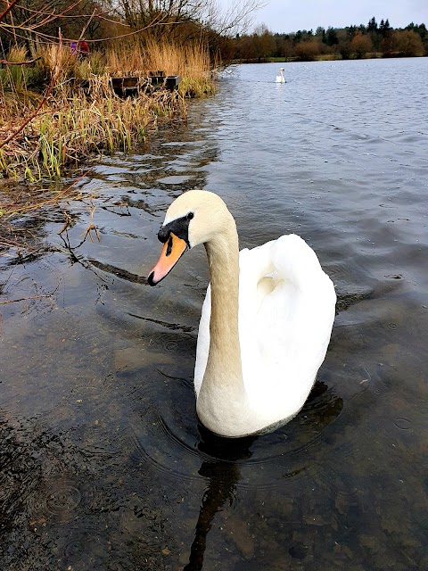 Sandwell Valley Country Park