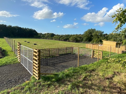 Unleash the Dogs - Uddingston Dog Fields