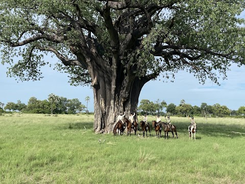 In The Saddle | Holidays on Horseback