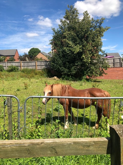 Stonebridge City Farm