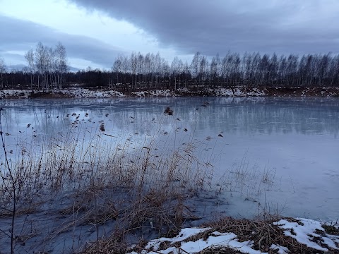 Трускавецьке озеро