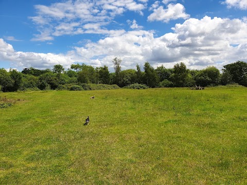 Testwood Lakes Nature Reserve