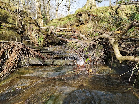 Folly Dolly Falls