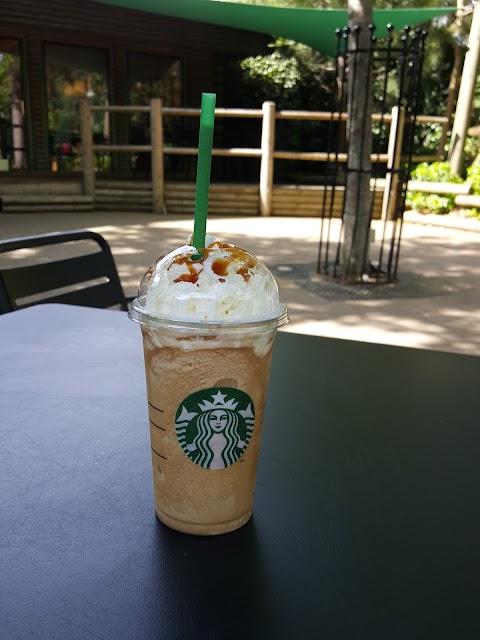 Starbucks Coffee