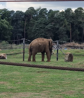 Elephant enclosure