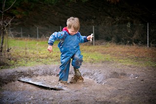 Each Peach Forest School