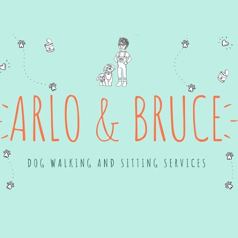 Arlo & Bruce Dog Walking and Sitting Services