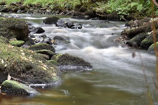 Rivelin Valley