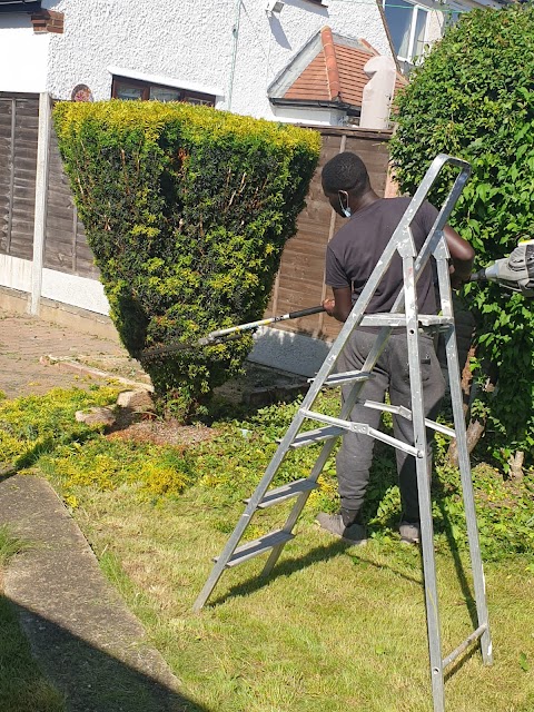 Matcol cleaning and garden maintenance services