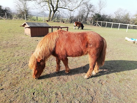 Church Farm Tea Rooms & Childrens Farm