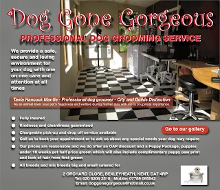 Dog Gone Gorgeous pet grooming bexleyheath