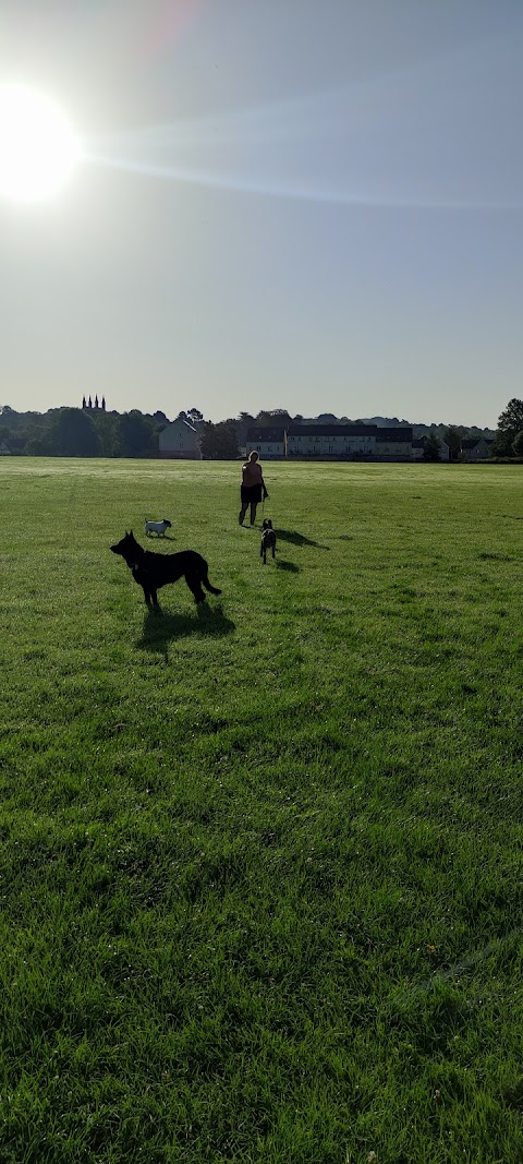 Linketty Lane Play Area