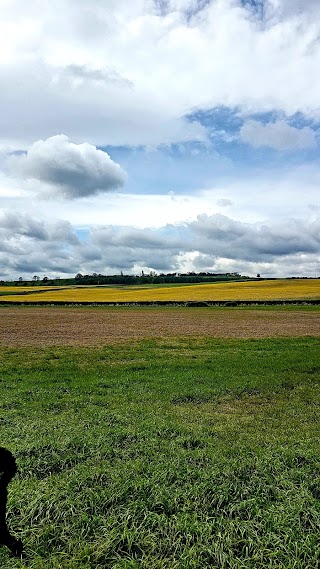 Carr Vale Nature Reserve