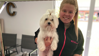 Pace's Pooches - Dog Groomers Loughton