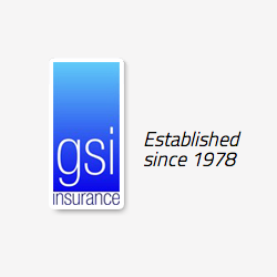 GSI Ltd
