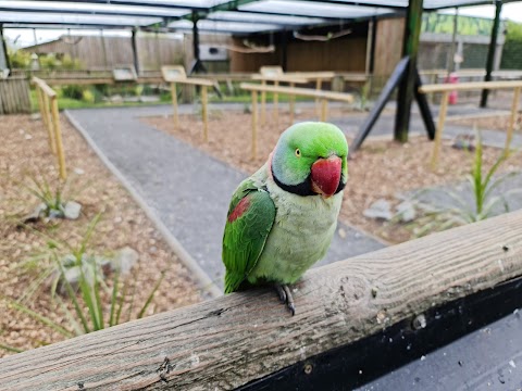 Lincolnshire Wildlife Park