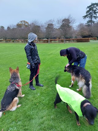 Dog Walking Bedford - Lewie's Rainbow