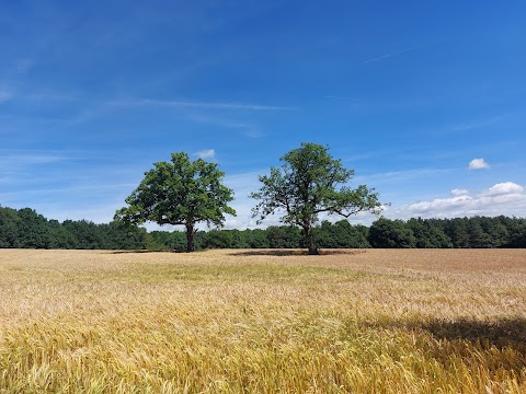 Linacre Reservoirs & Wood Car Park (Severn Trent) (Cash Only)