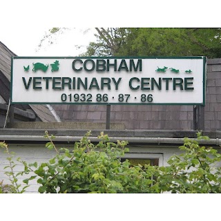 Cobham Veterinary Centre