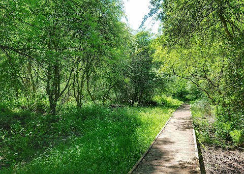 Hilton Gravel Pits Local Nature Reserve