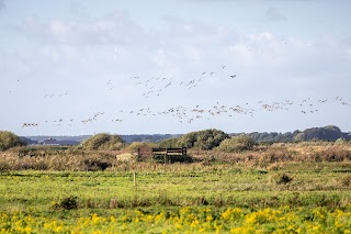 Lunt Meadows Nature Reserve