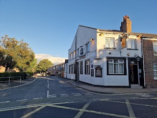 The Swan