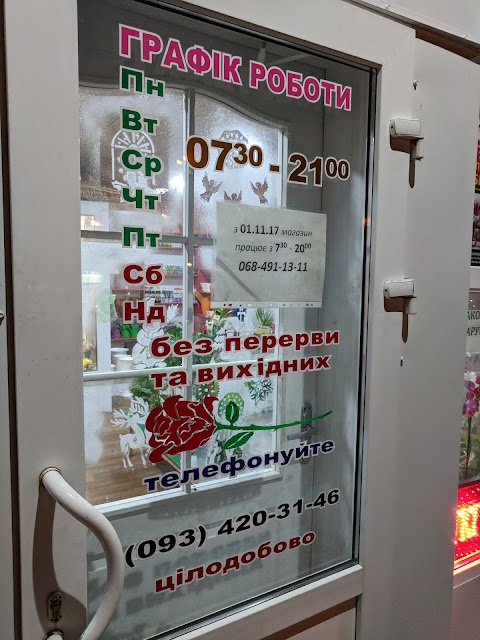 Квіти