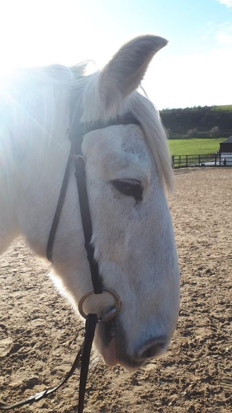 Happy Valley Equestrian Centre