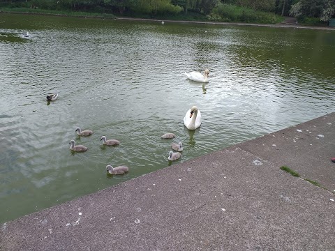 Queen's Park Playground (North)