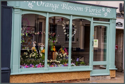 Orange Blossom Florist