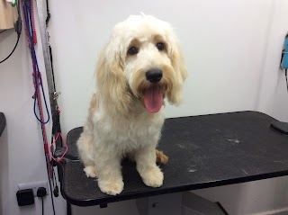 Kidderminster Dog Grooming