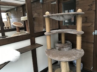 Lakeside Luxury Cattery & Small Animal Hotel