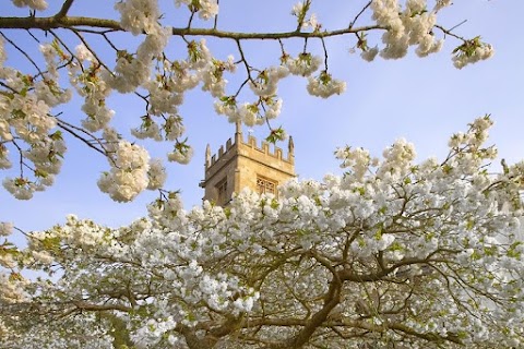 Day Tours London